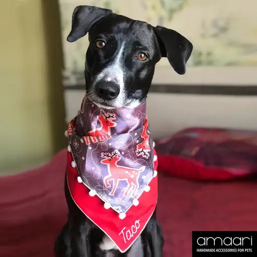 JOYFUL REINDEER Scarf