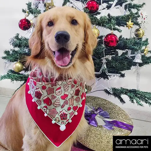 CHRISTMAS COOKIE Scarf